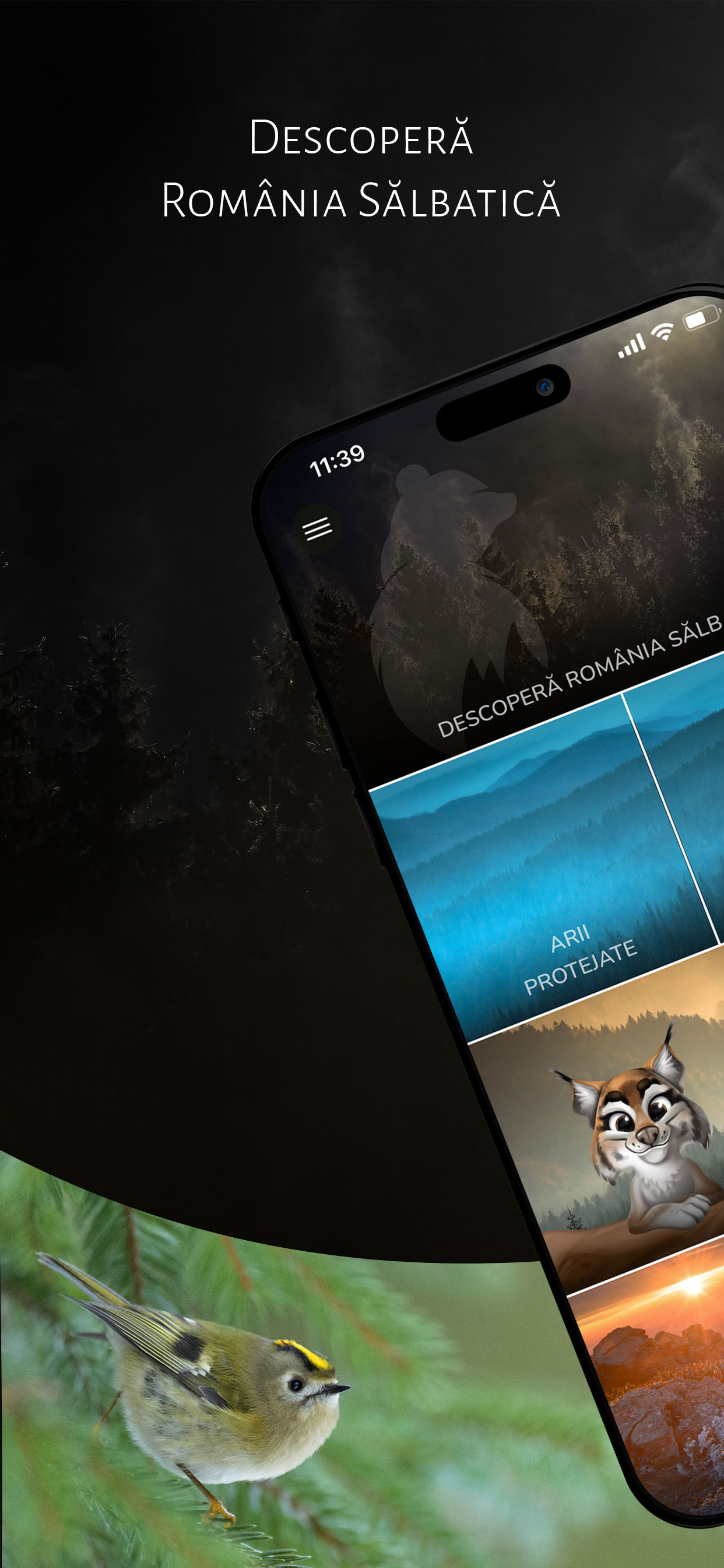 România Sălbatică