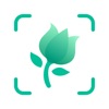 Icon PictureThis - Plant Identifier