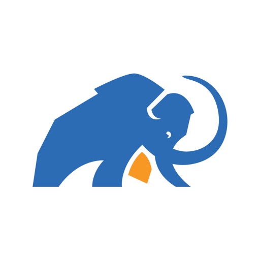 Mammoth Insurance Icon