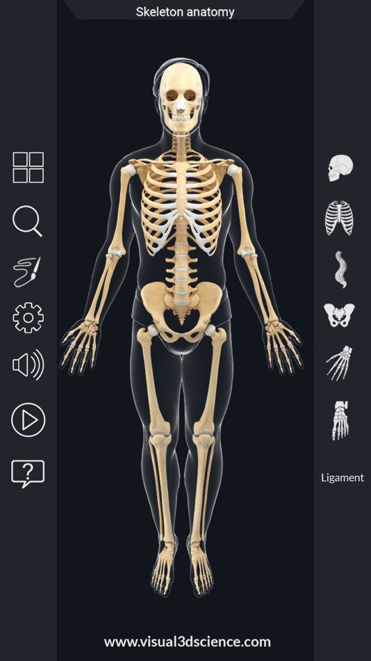 My Skeleton Anatomy - 1.5 - (iOS)