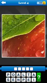 guess the close up - pics quiz iPhone Captures Décran 4