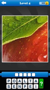 Guess the Close Up - Pics Quiz screenshot