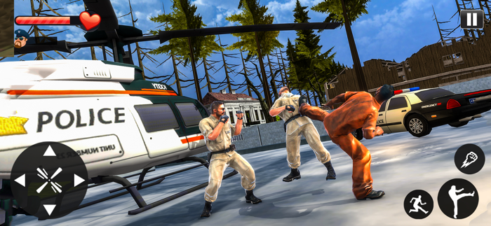 Prison Gangster Crime and Order