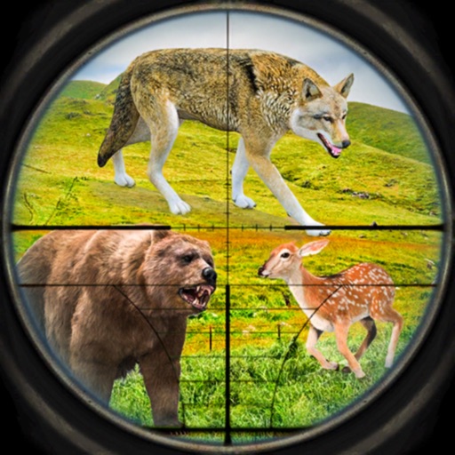 Hunting World Animal Hunter by Majid Siddiqui