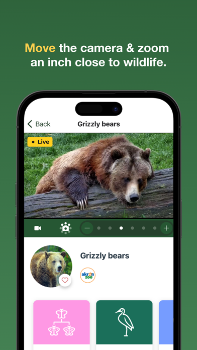 zoolife - Watch Animals Live Screenshot
