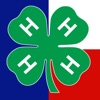 Texas 4-H icon