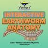 Earthworm Anatomy