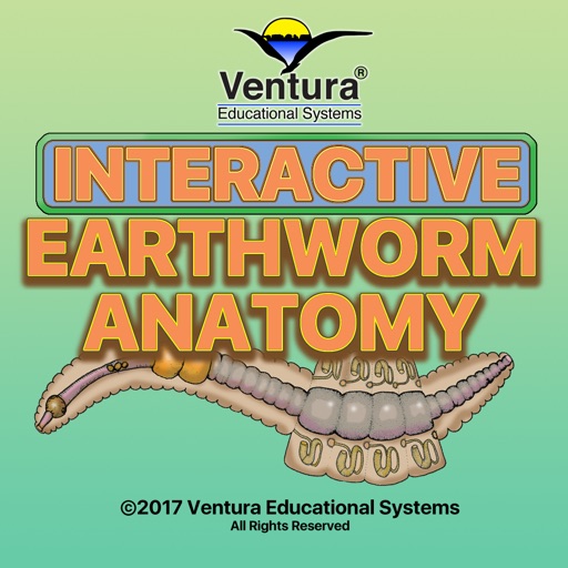 Earthworm Anatomy icon