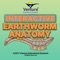 Explore the fascinating anatomical structures and functions found in the earthworm, a common annelid