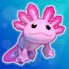 Axolotl Rush contact information