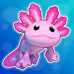 Axolotl Rush App Support