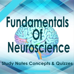 屏幕截图 (5) Fundamentals Of Neuroscience
