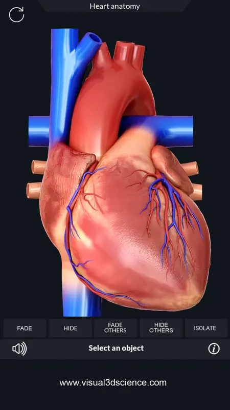 My Heart Anatomy screenshot 3 of 6