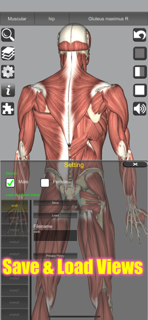 ‎3D Anatomy Screenshot