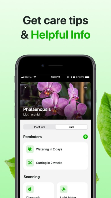 AI Plant Identifier App－Botan screenshot 4