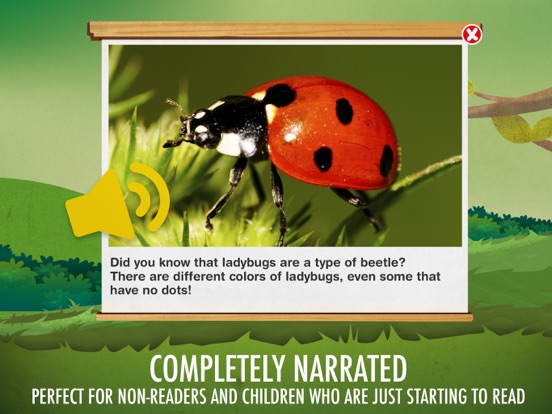 The Bugs I: Insects? iPad screenshot 6 - Education app
