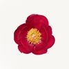 Flower Tours icon