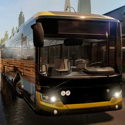 Bus Simulator Driving School Cheats