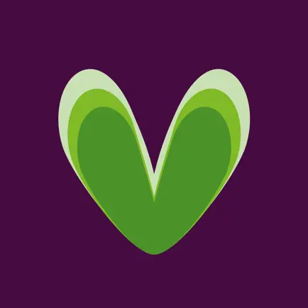 Vig Festival Читы