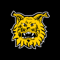 Tampereen Ilves