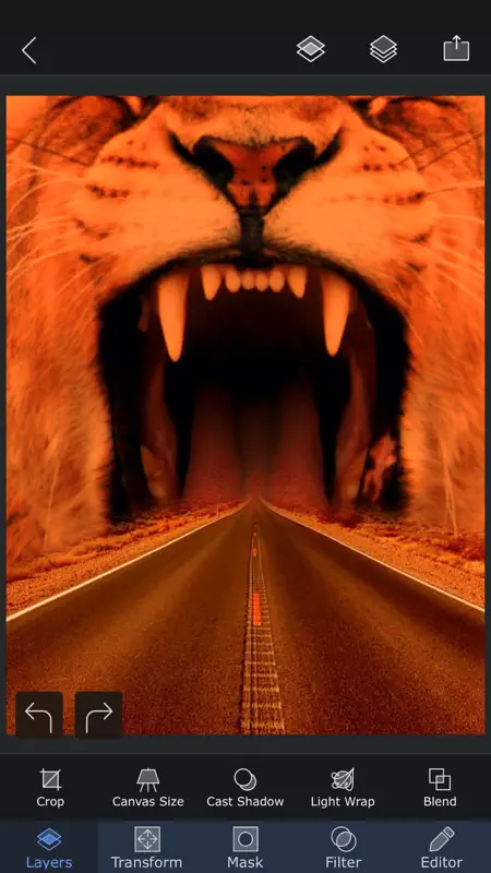 Superimpose X screenshot 9 of 10