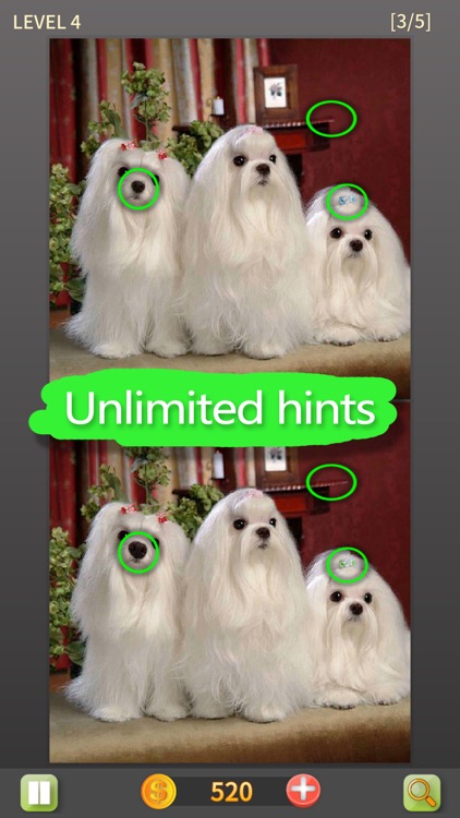 Find The Difference Games - Go screenshot-3