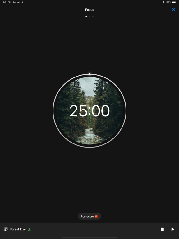 Screenshot #6 pour Pomodoro - Focus Timer