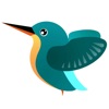Icon Kingfisher