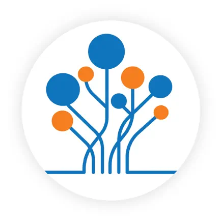 Mindseed Preschools Читы