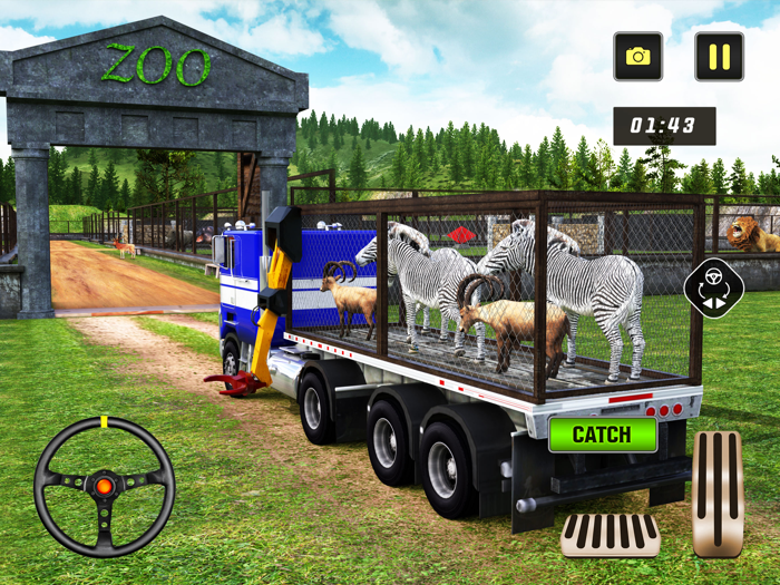 Wild Animals Chase and Catch 3D