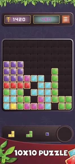 Game screenshot Put Blocks Puzzle apk