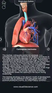 my respiratory system anatomy iphone resimleri 4