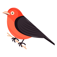 Village Feathered Friend Pro