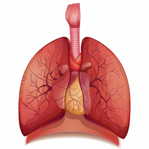 Respiratory System Flashcards icon