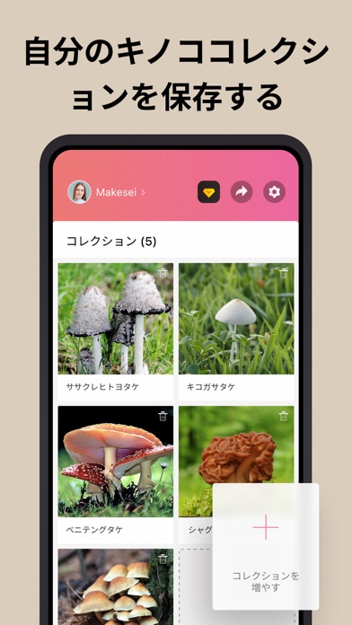 Picture Mushroom - 1秒キノコ図鑑スクリーンショット