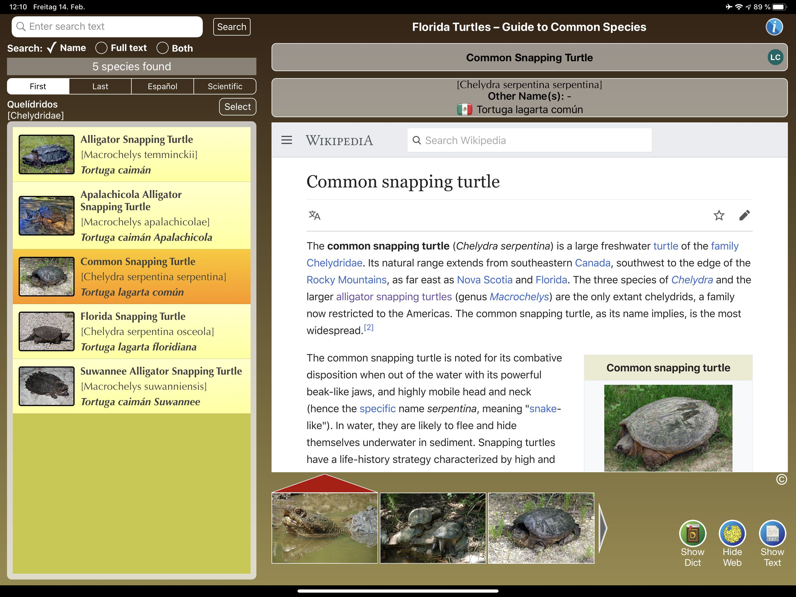 Florida Turtles screenshot 14