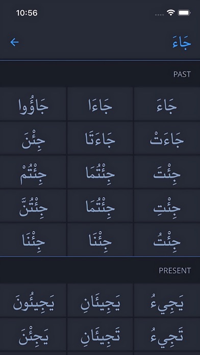 Arabic Verb Conjugation Screenshot