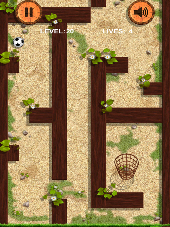 Ball and basket. Ball and wall iPad screenshot