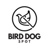 BirdDogSpot