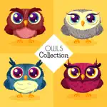 Cute Owl Emojis App Contact