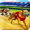 Dog Crazy Race Simulator 2023 icon