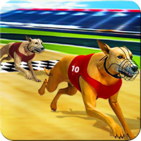Dog Crazy Race Simulator 2023
