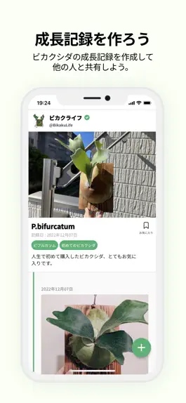 Game screenshot ビカクライフ hack