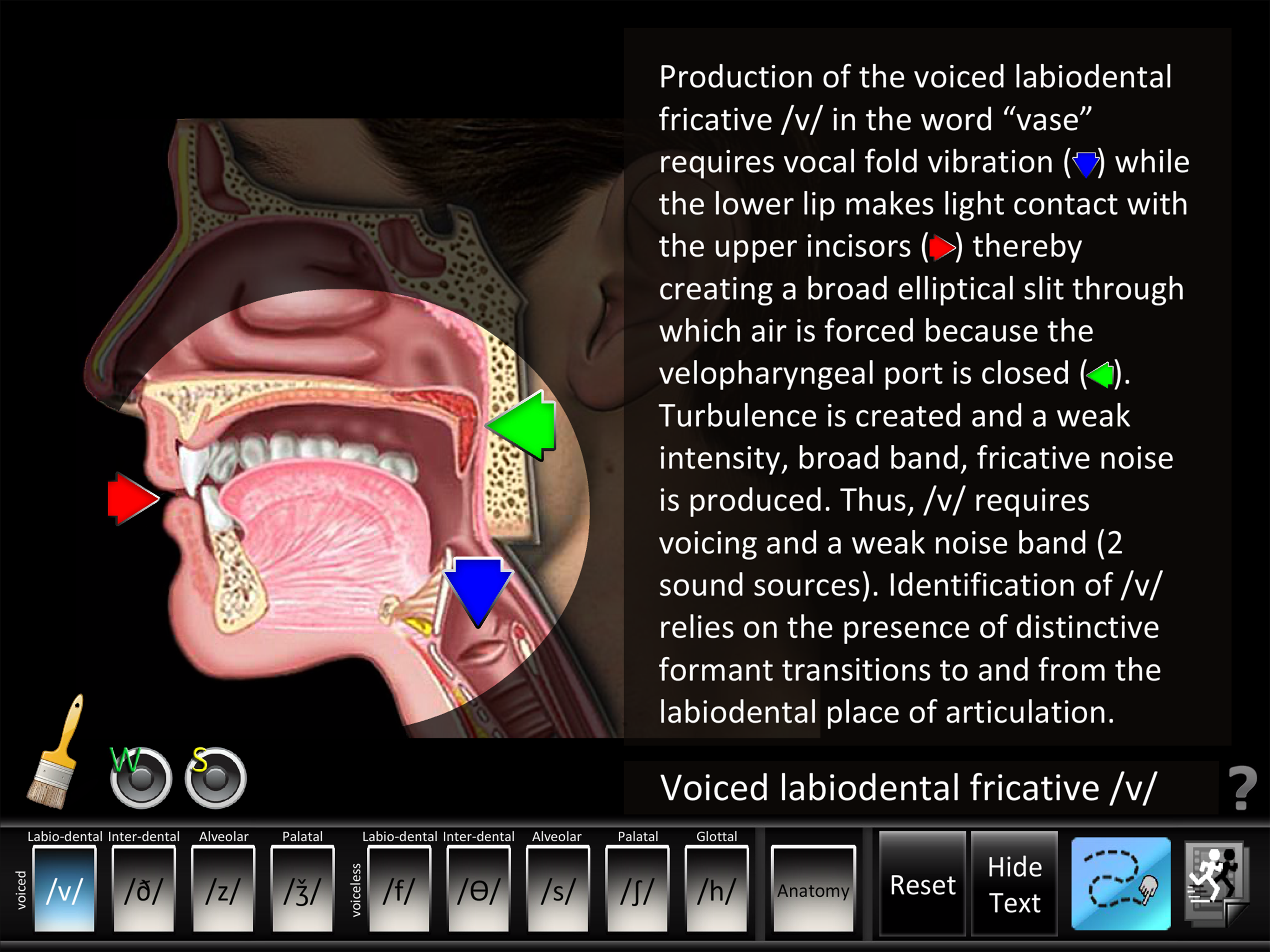 Fricatives screenshot 7