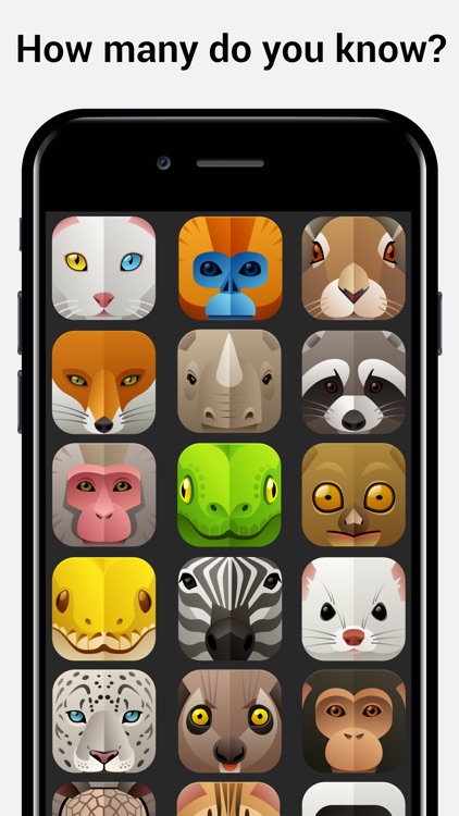 Name the Animal Head Quiz