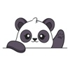 cutest panda icon