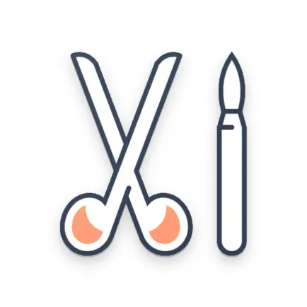 Orthopedic Surgery Approaches Читы