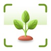 Plant Identifier: Reminder icon