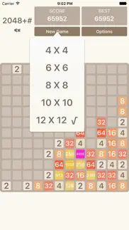 2048+# problems & solutions and troubleshooting guide - 4
