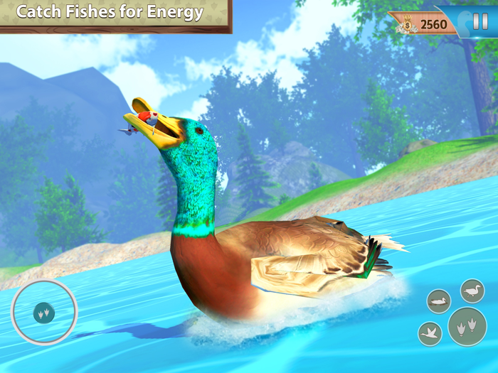 Flying duck family simulator